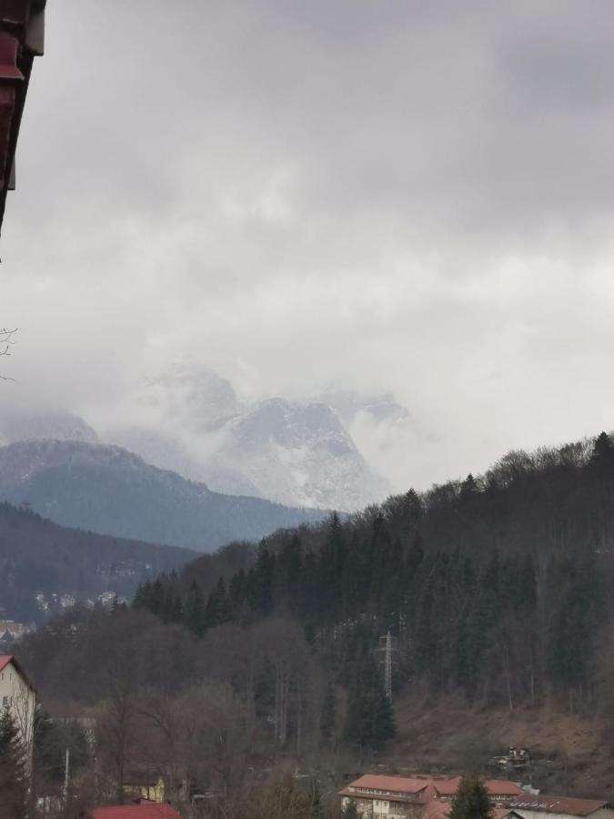 Appartamento Apartament Panoramic View Sinaia Esterno foto