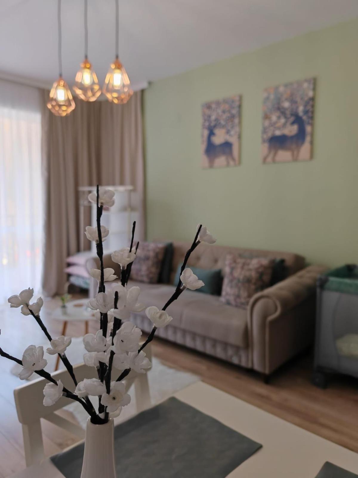 Appartamento Apartament Panoramic View Sinaia Esterno foto